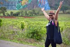 Eat Drink Travel Group